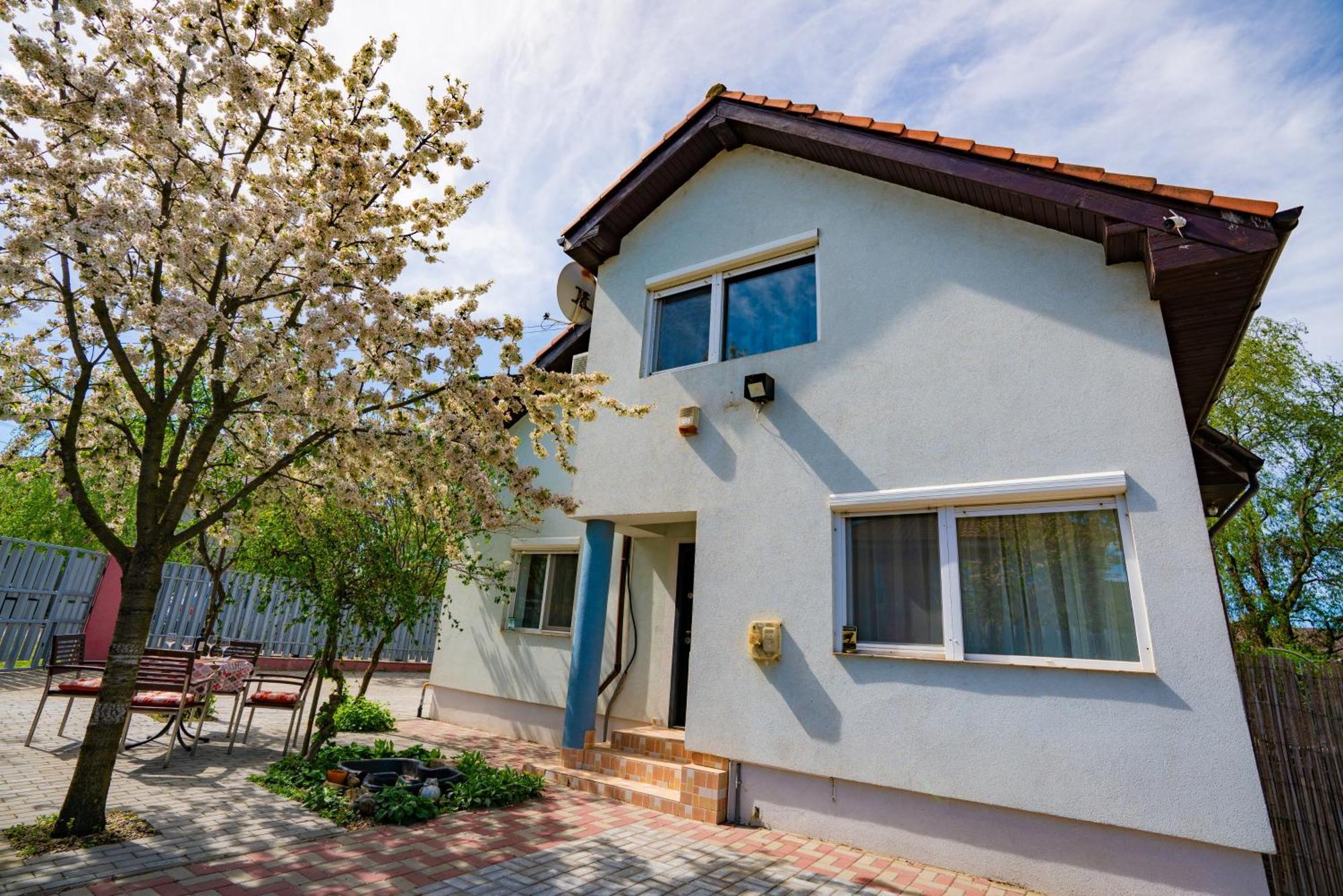 Pitstop Apartments Dumbravita  Dış mekan fotoğraf