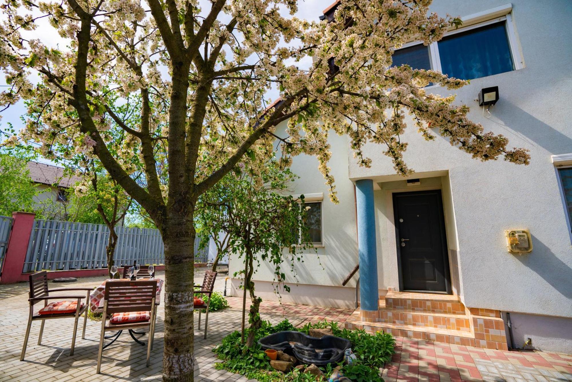 Pitstop Apartments Dumbravita  Dış mekan fotoğraf