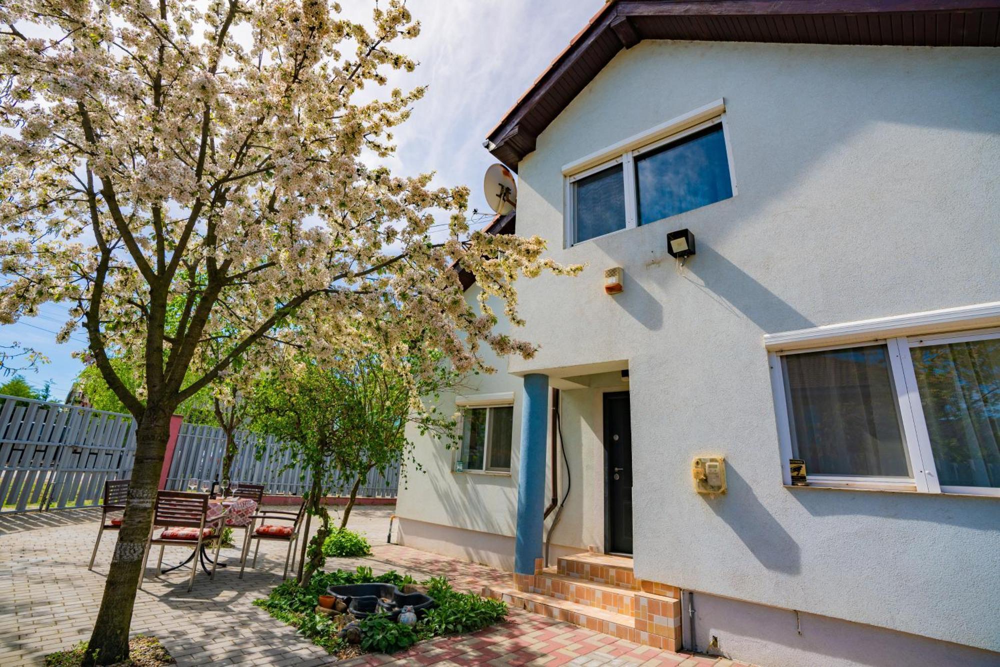 Pitstop Apartments Dumbravita  Dış mekan fotoğraf